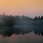 Nebel am Teich