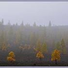 Nebel am Teide