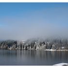 Nebel am Titisee