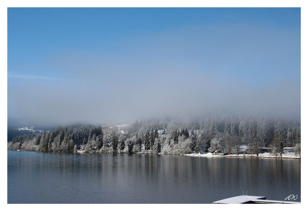 Nebel am Titisee