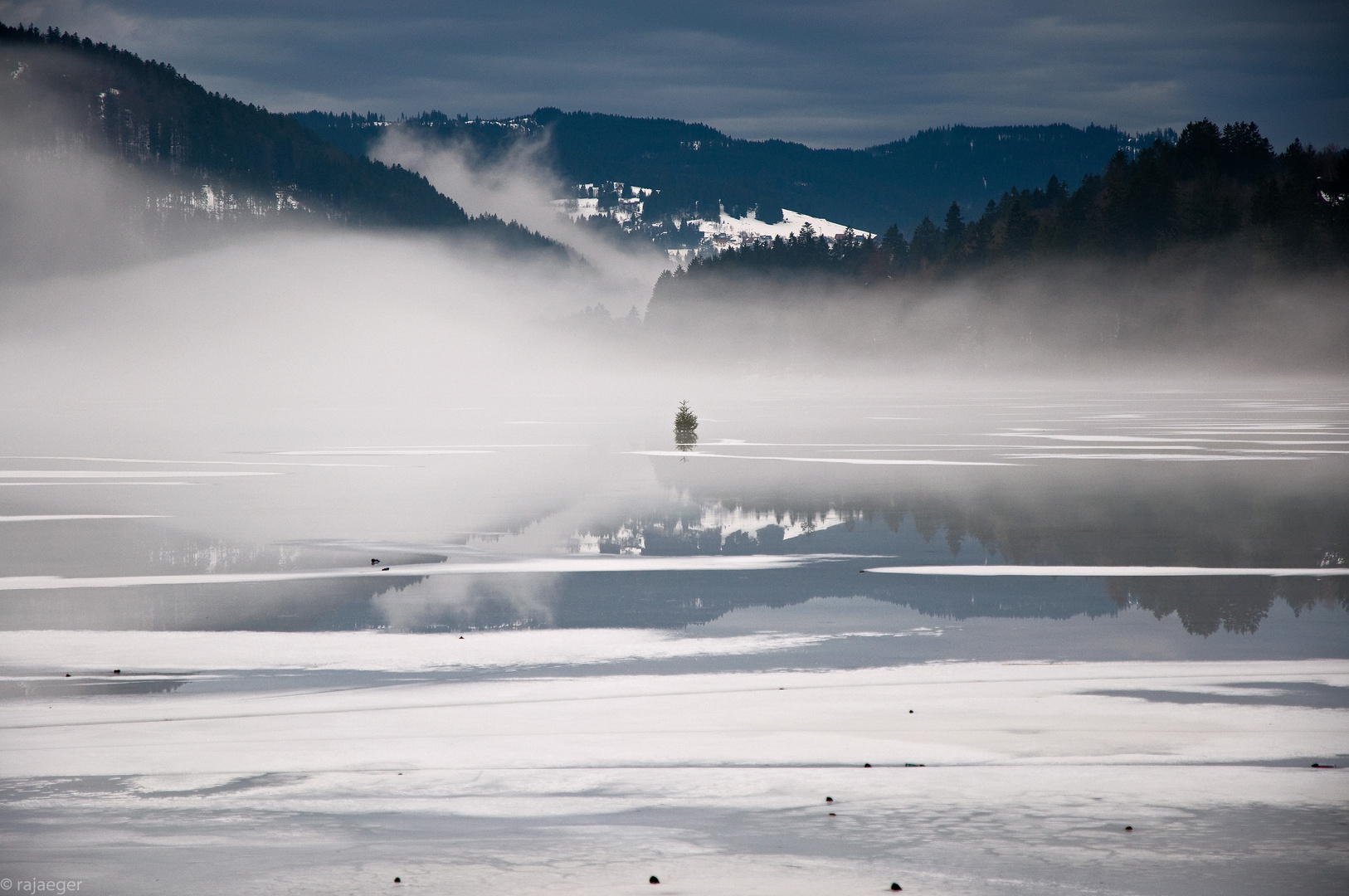 Nebel am Titisee