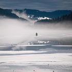 Nebel am Titisee