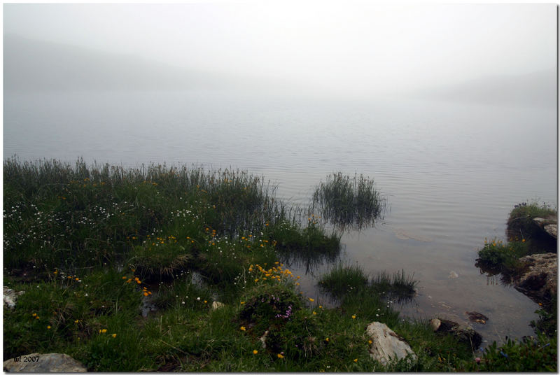 Nebel am Torsee