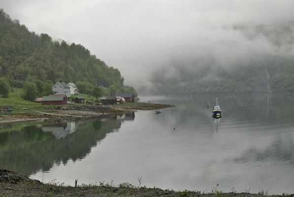 Nebel am Tørrfjorden