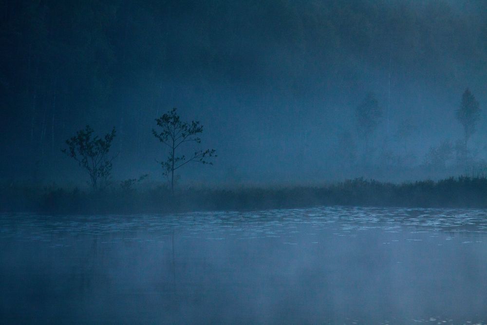 Nebel am Västra Silen