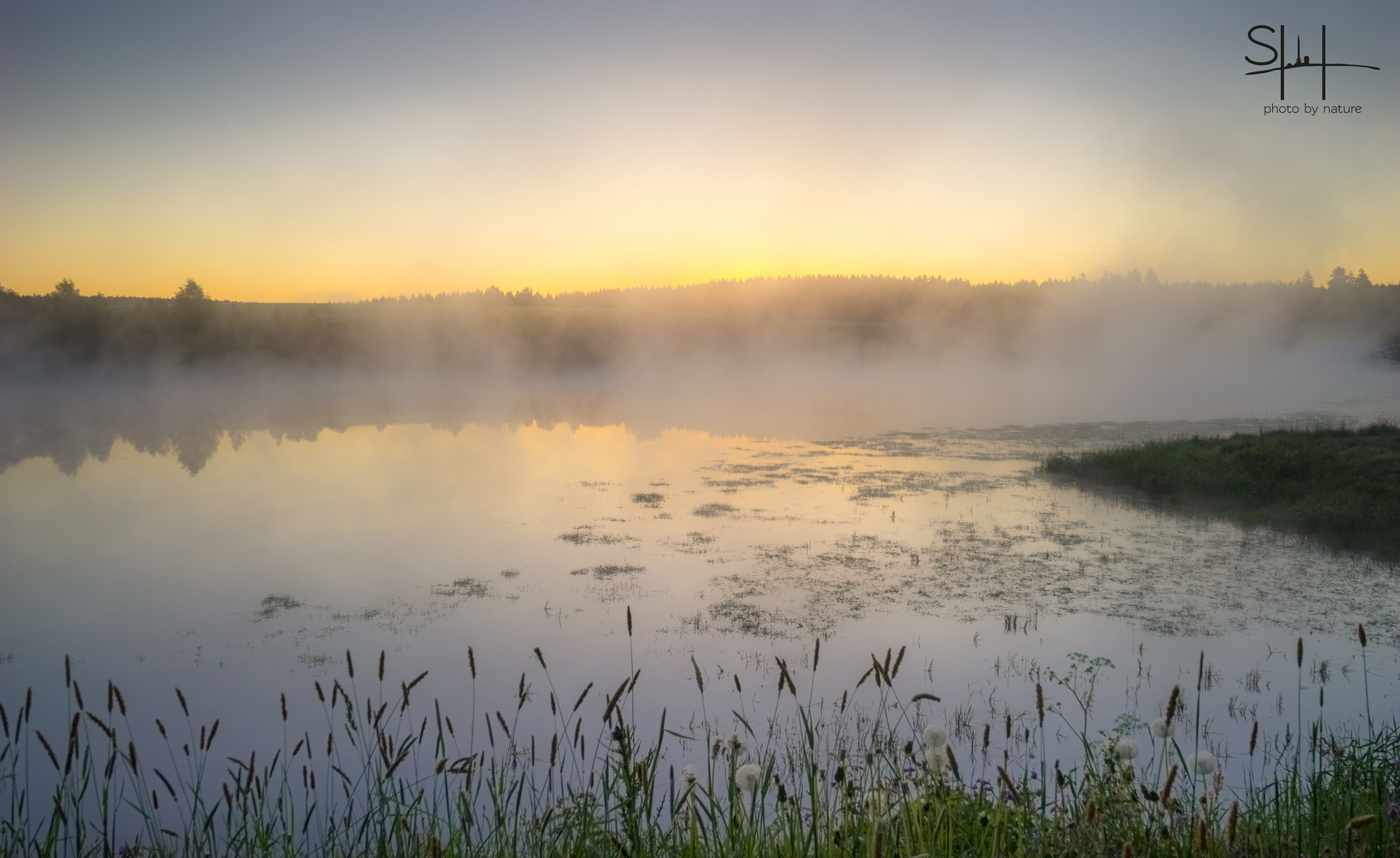 Nebel am Wasser