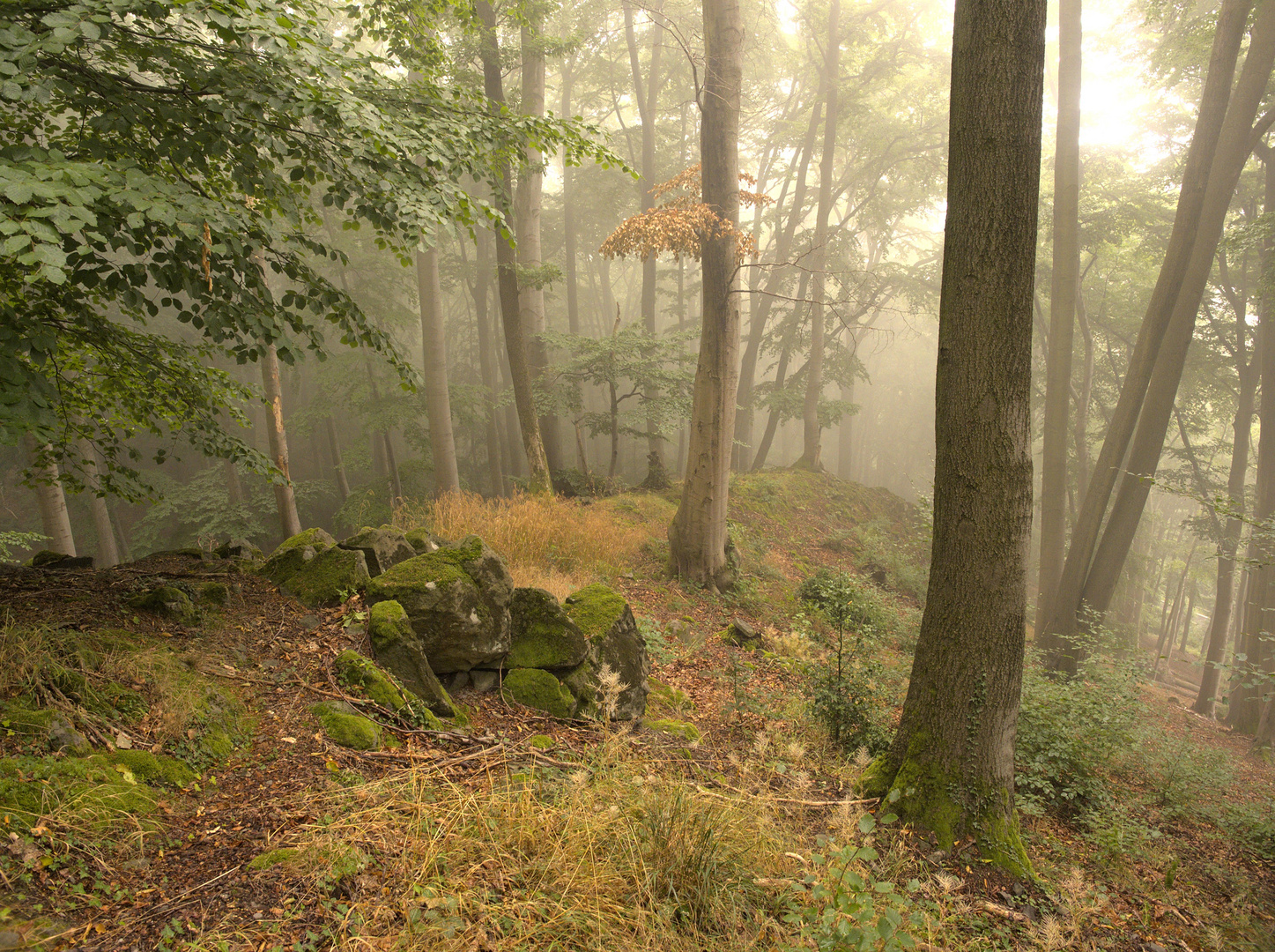 Nebel am Wasserfall