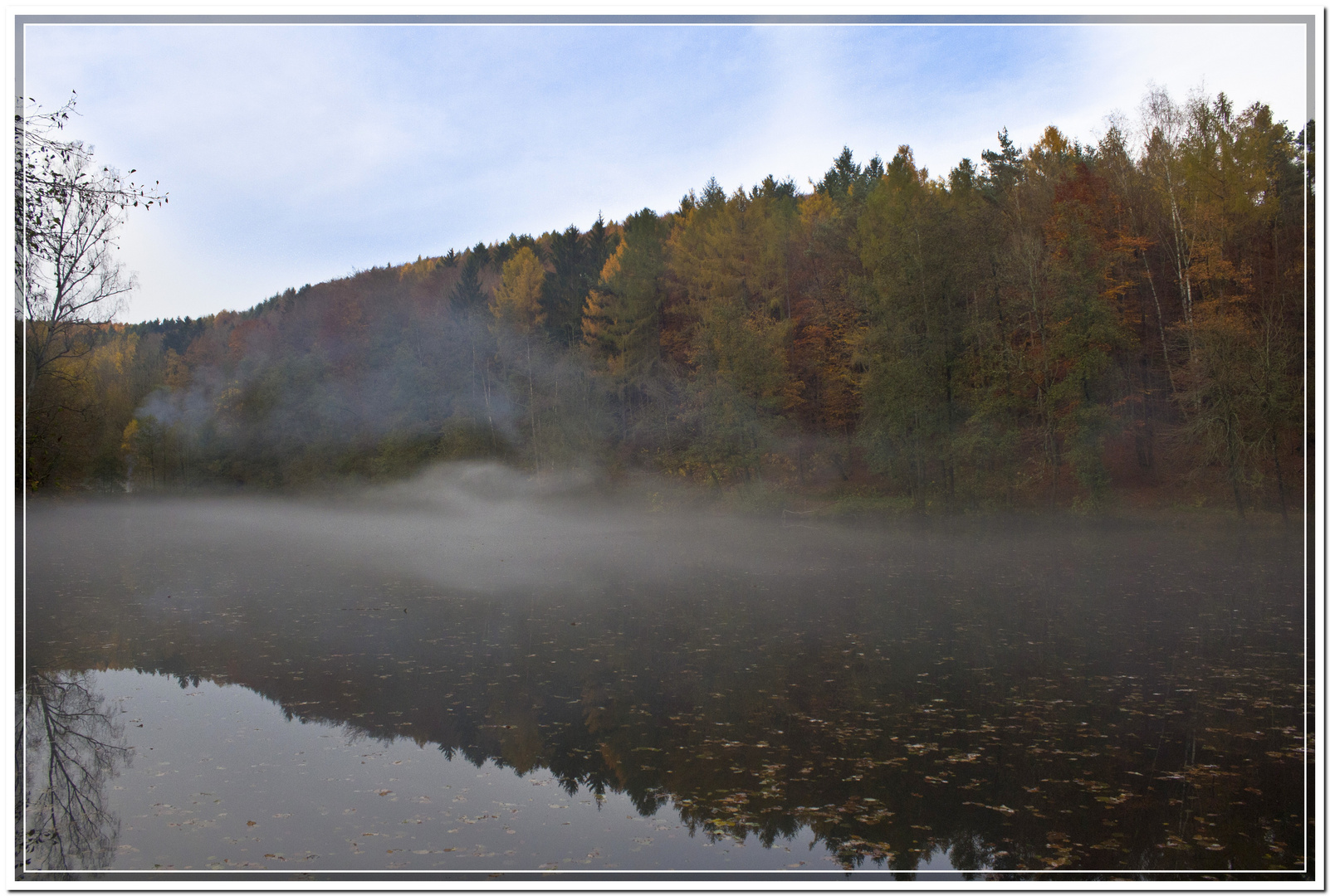 Nebel am Weiher