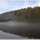 Nebel am Weiher