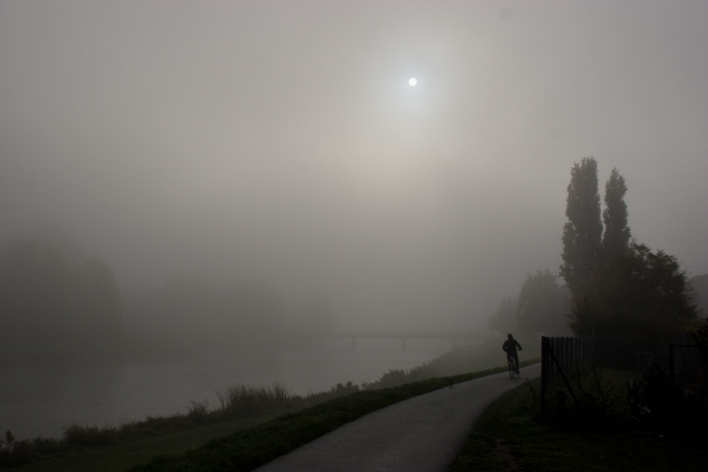 Nebel am Werdersee