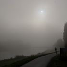 Nebel am Werdersee