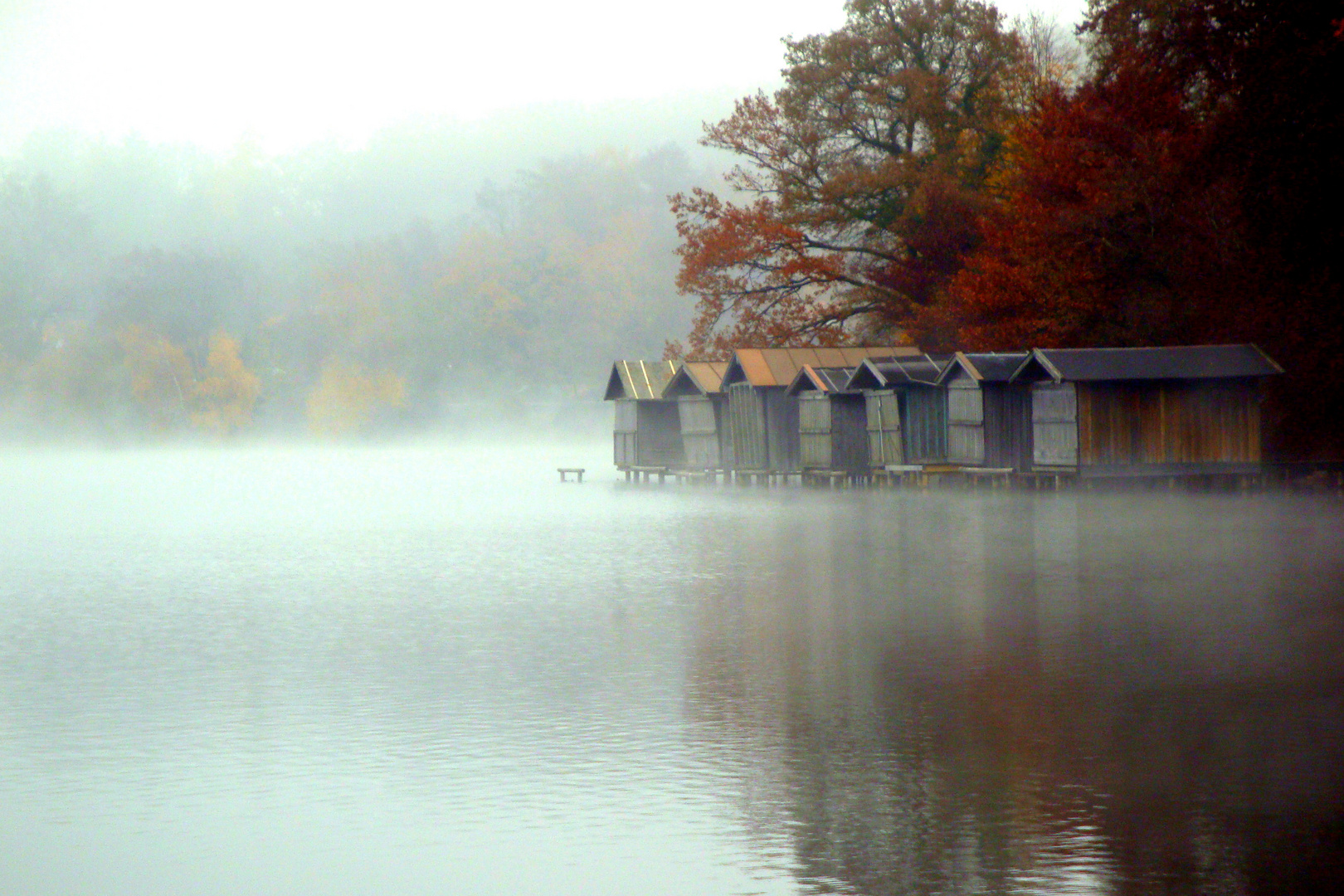 Nebel am Weßlinger See