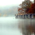 Nebel am Weßlinger See