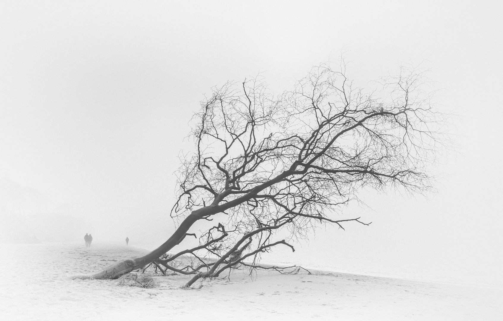 Nebel am Weststrand (s/w Freitag 29012021)