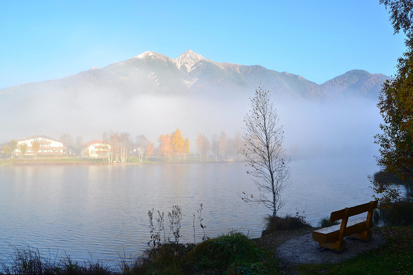 Nebel am Wildsee