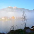 Nebel am Wildsee