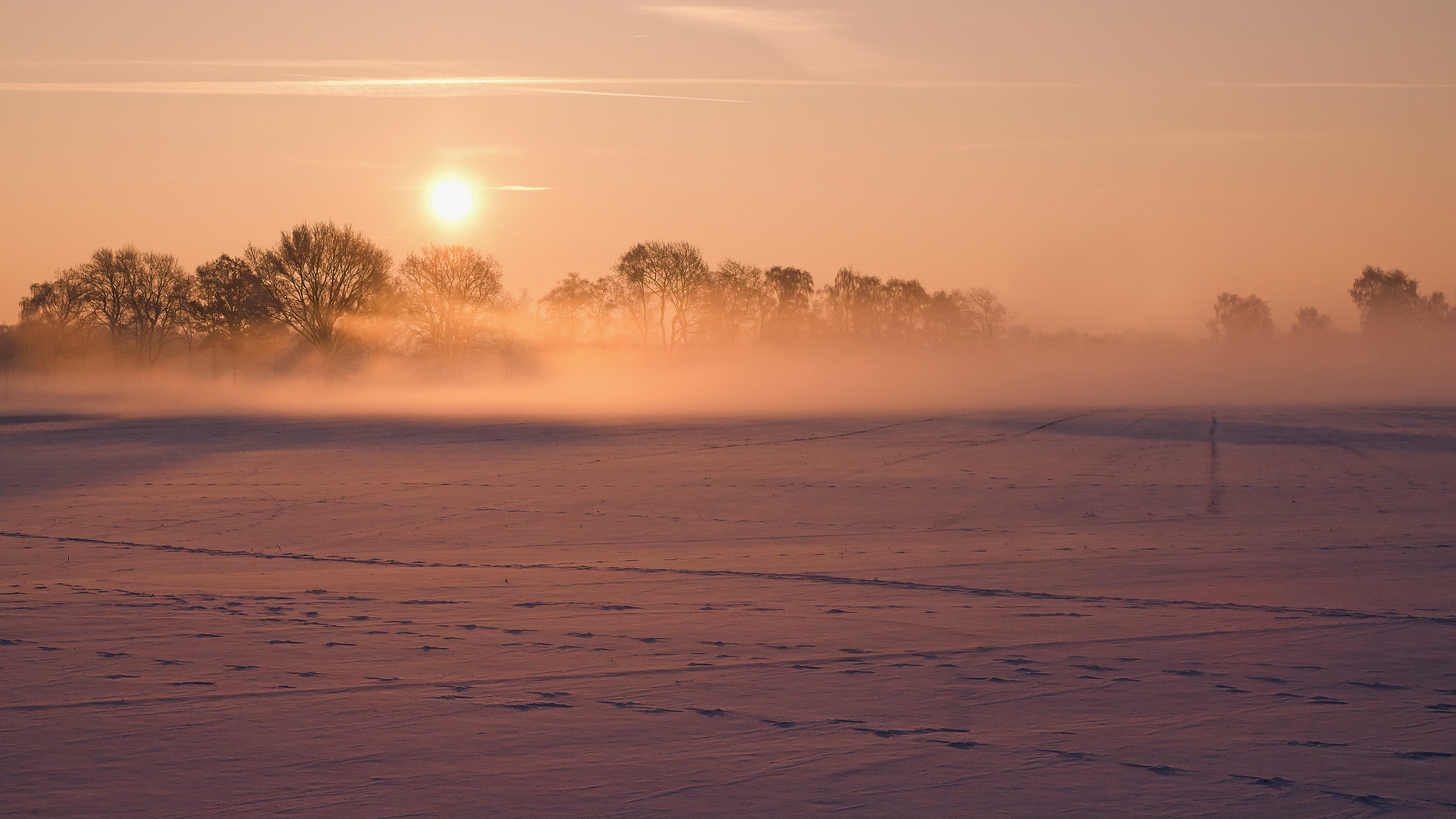 Nebel am Wintermorgen