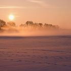 Nebel am Wintermorgen