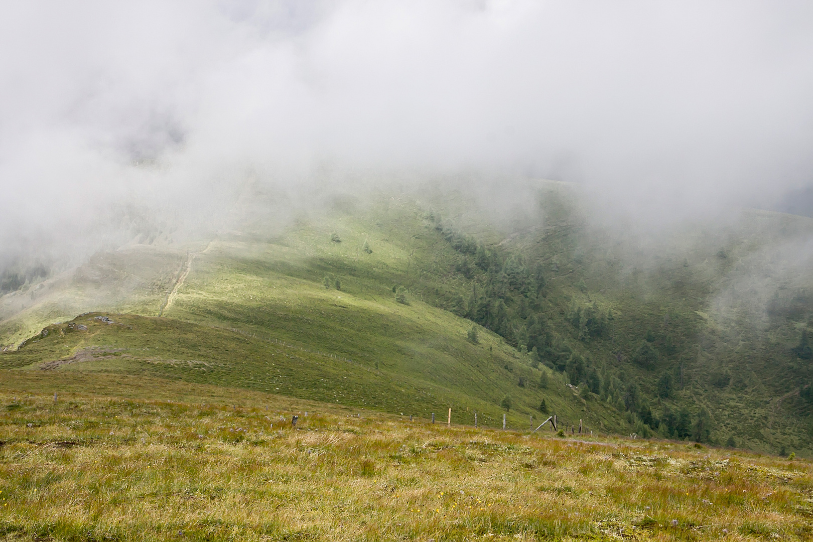 Nebel am Wöllaner Nock