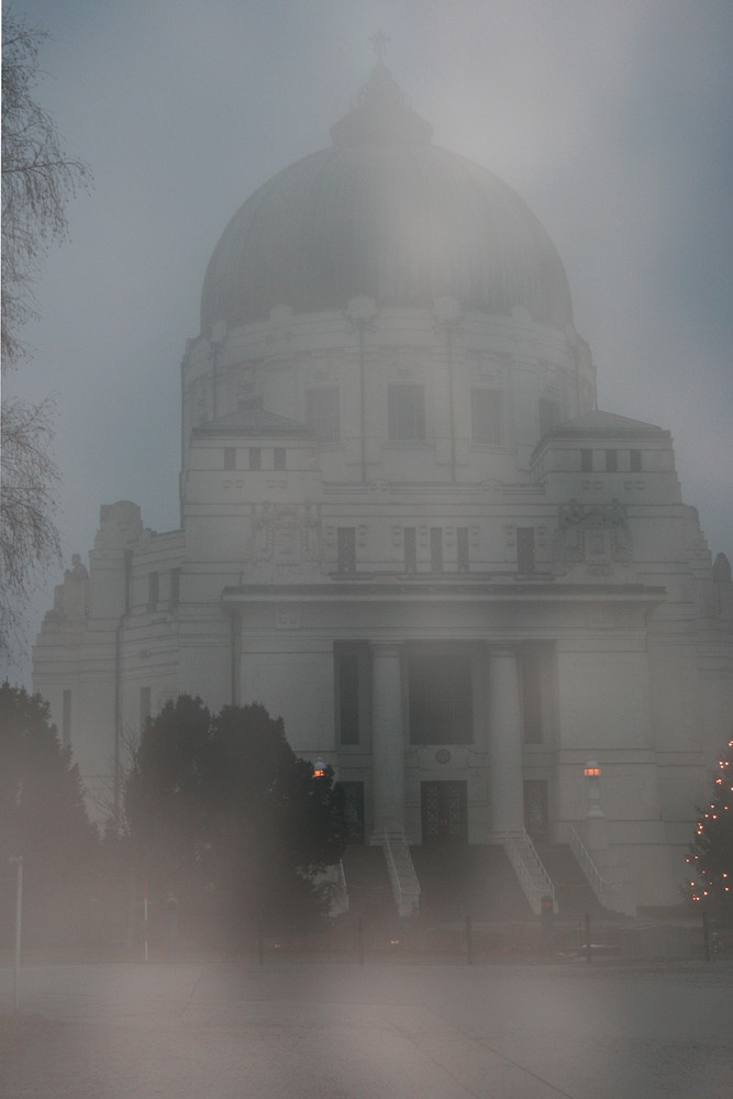 Nebel am Zentralfriedhof