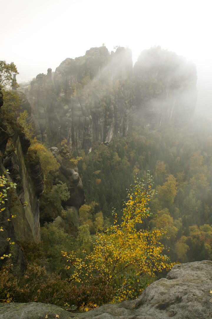 Nebel an den Schrammsteinen