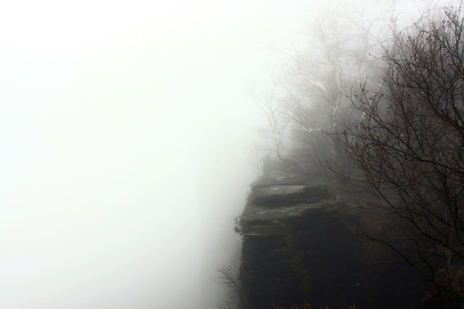 Nebel an den Tyssaer Wänden/ Tschechien