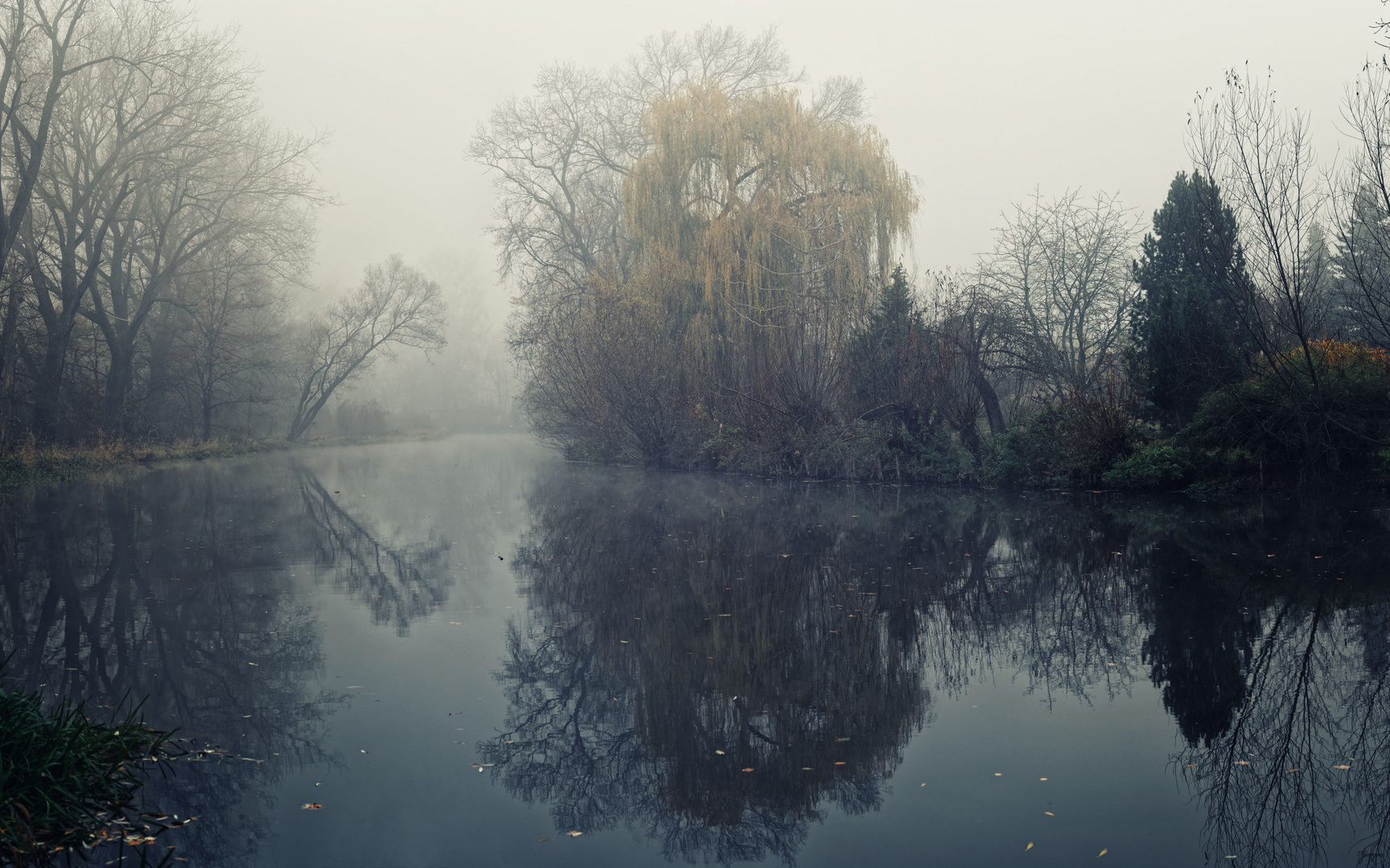 Nebel an der Bode