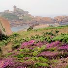 Nebel an der Cote de granit Rose.