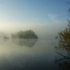 Nebel an der Dove Elbe