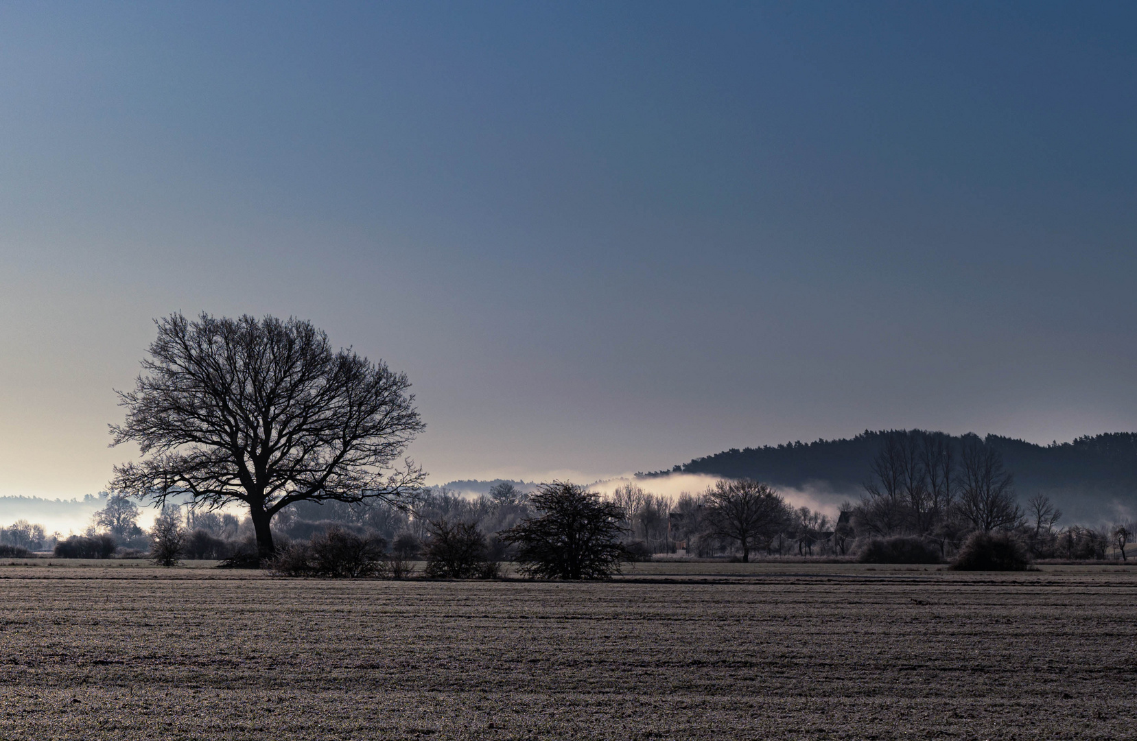 Nebel an der Elbe