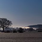 Nebel an der Elbe