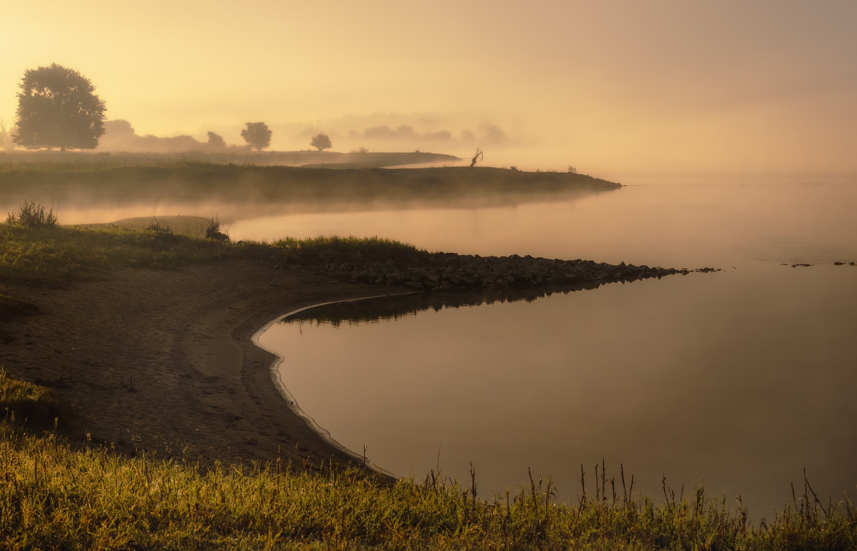 Nebel an der Elbe bei Privelack