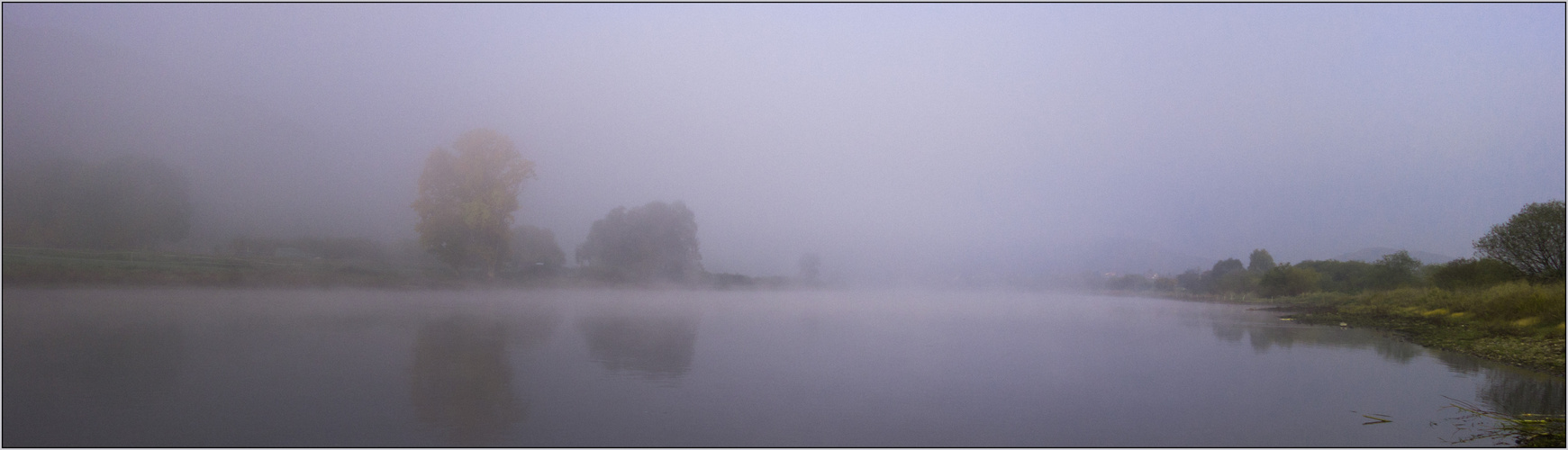 Nebel an der Elbe