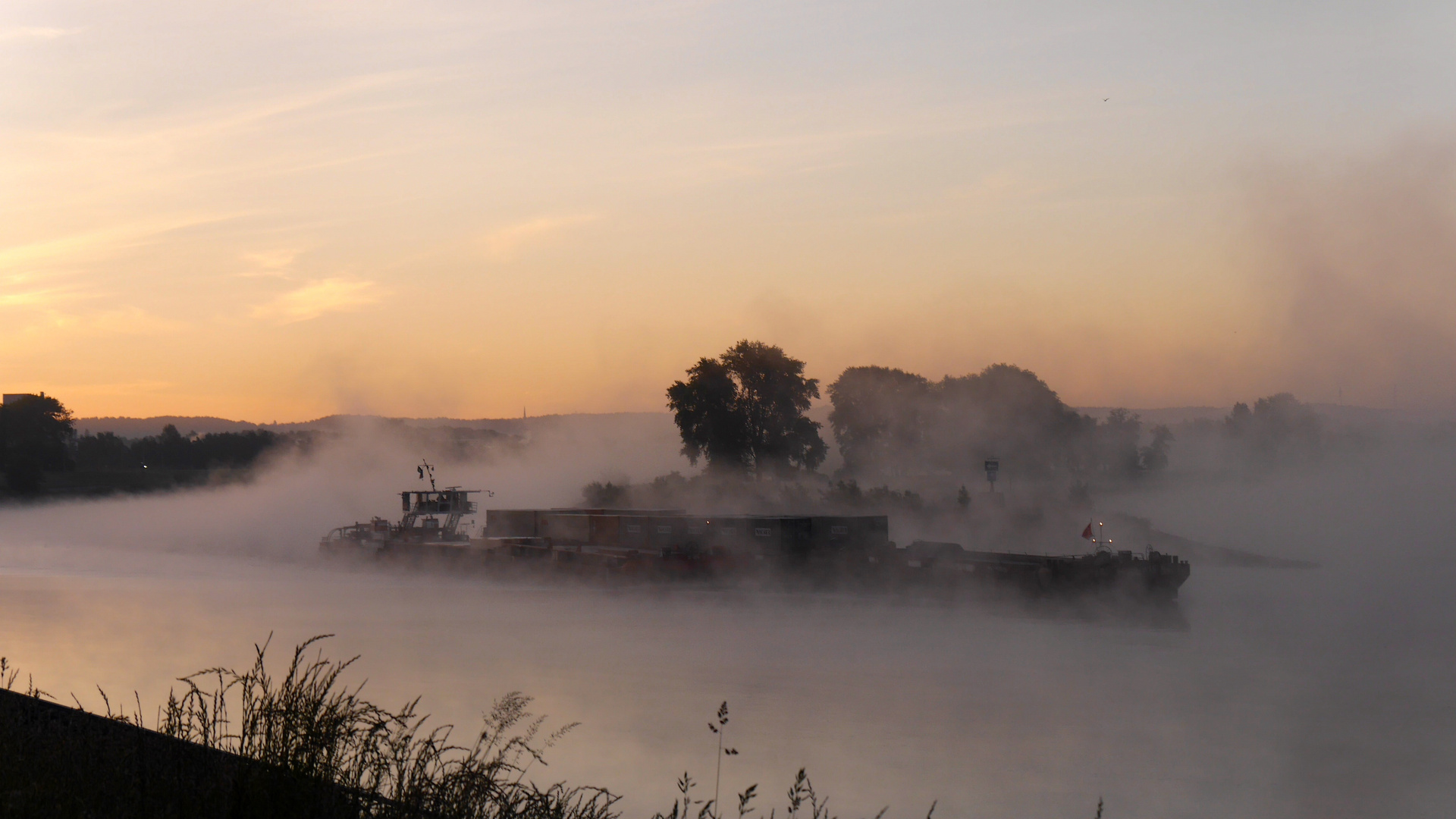 Nebel an der Elbe