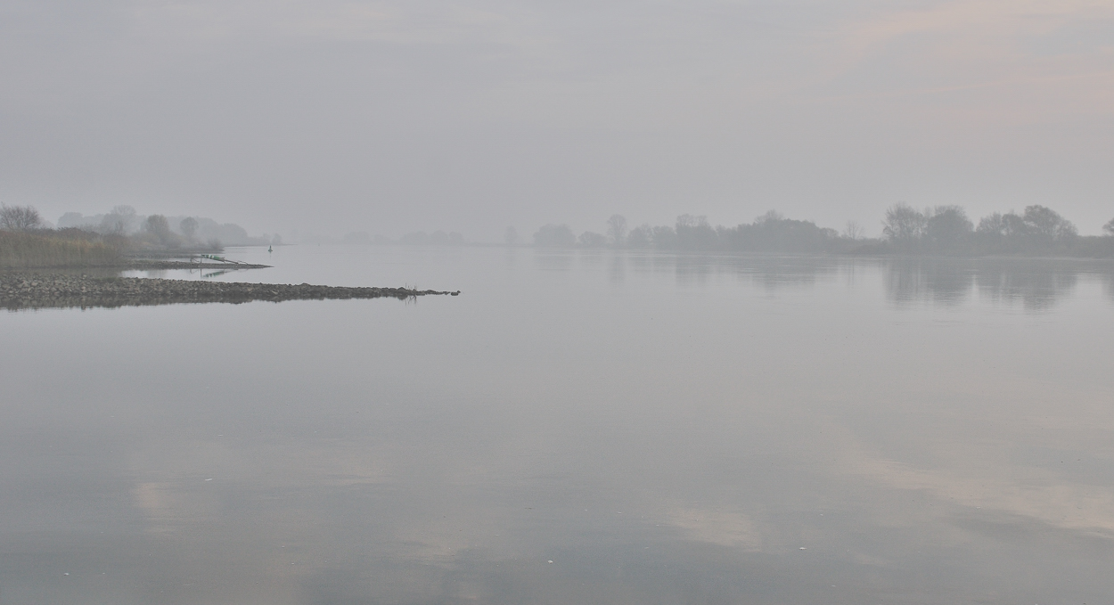 Nebel an der Elbe