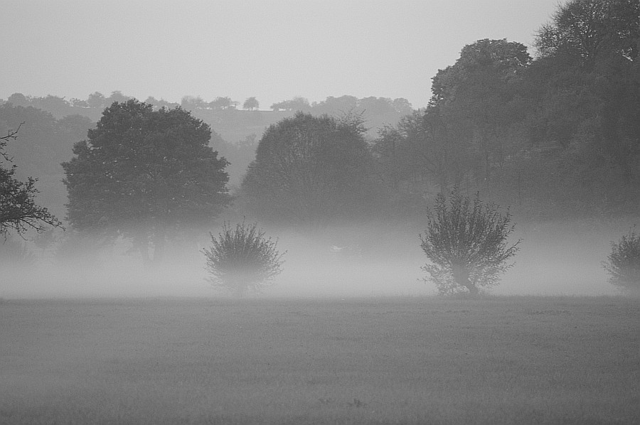 Nebel an der Enz