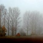 Nebel an der Erft