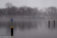 Nebel an der Havel