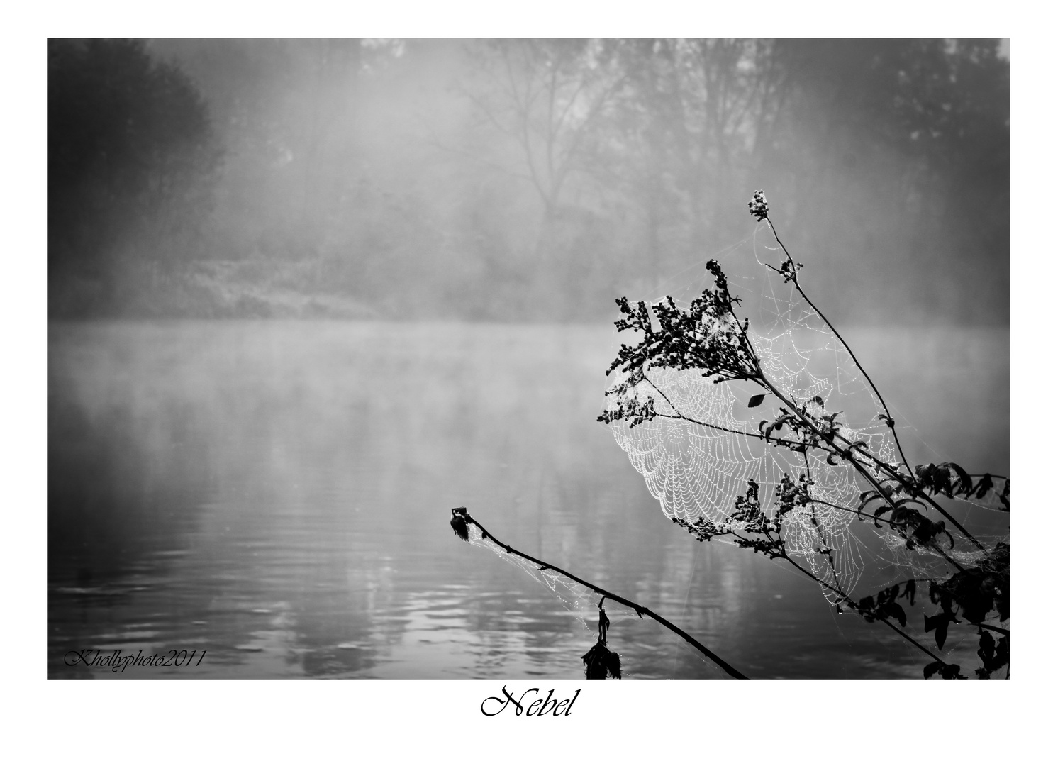 Nebel an der Isar