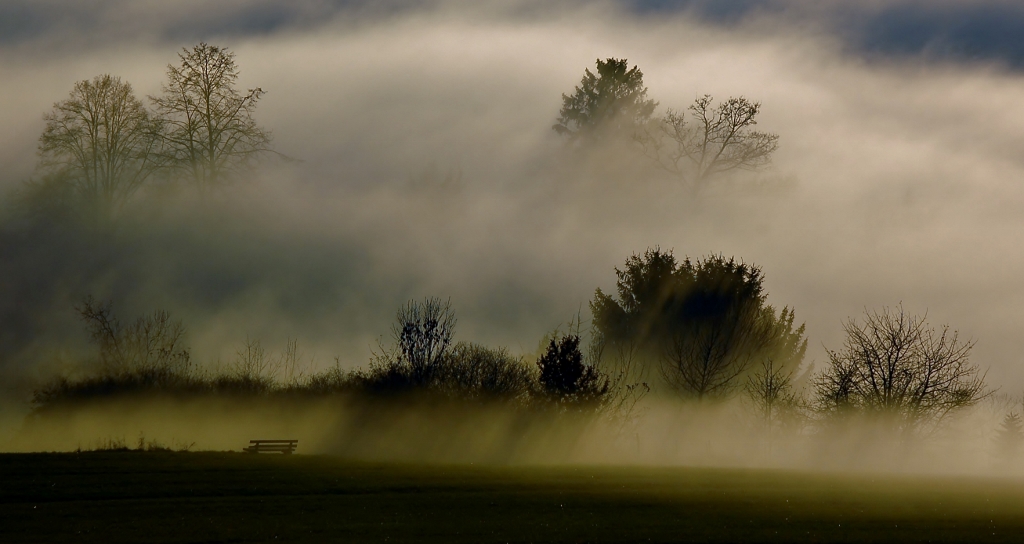 Nebel an der Katharinenlinde