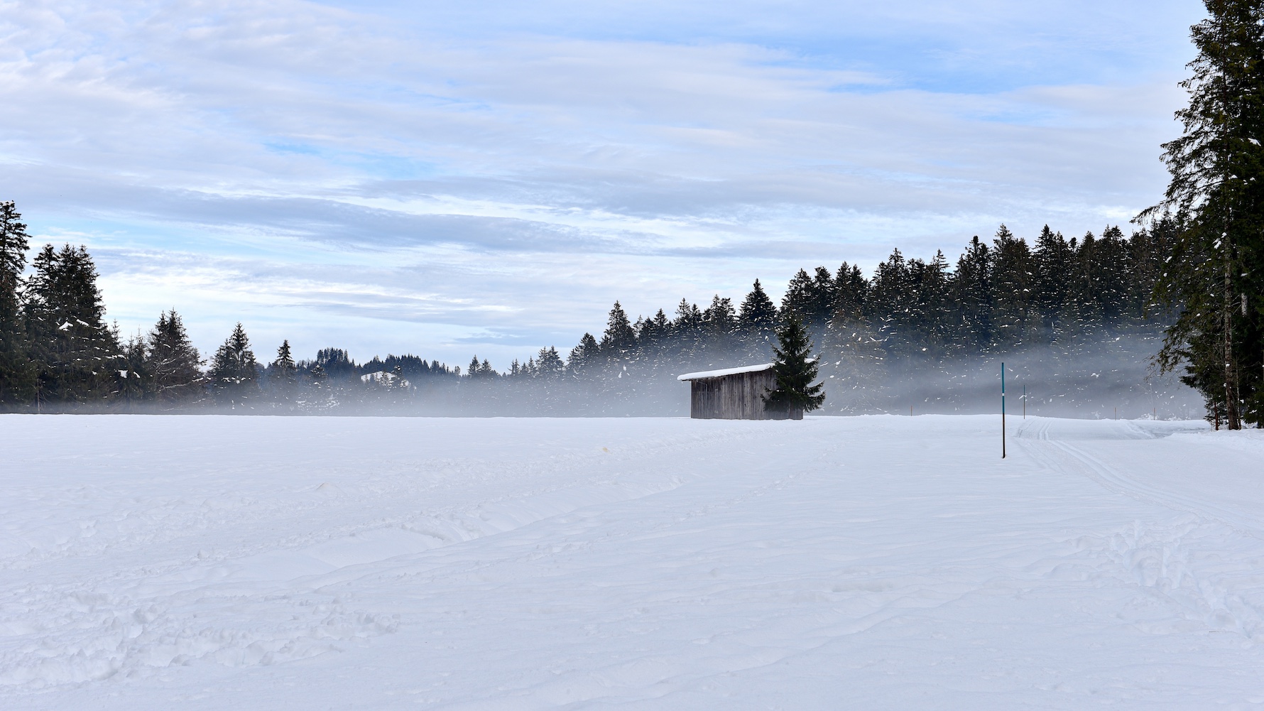 Nebel an der Loipe