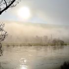 Nebel an der Mosel