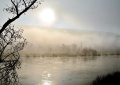 Nebel an der Mosel