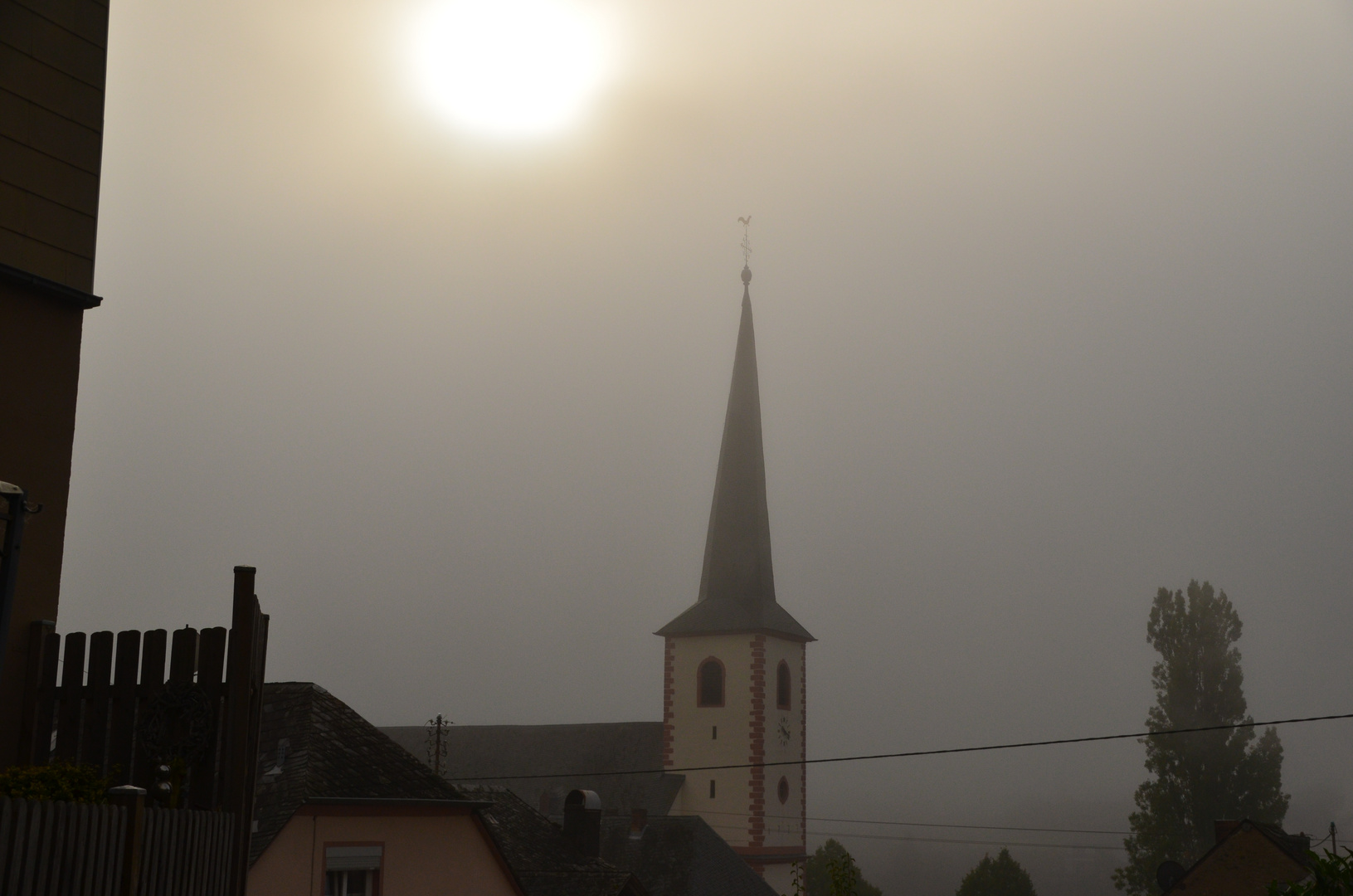 Nebel an der Mosel 1