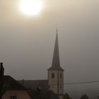 Nebel an der Mosel 1