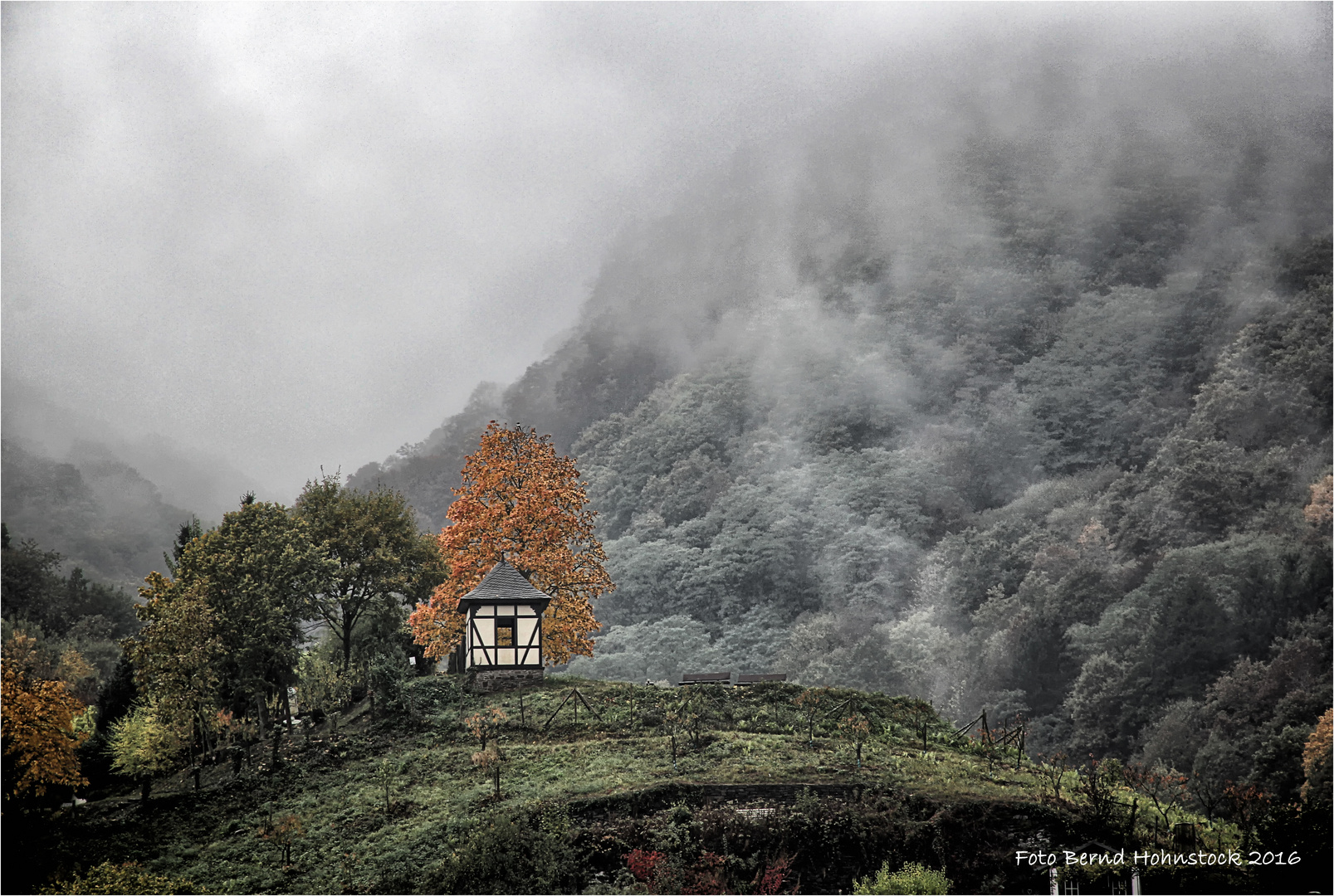 Nebel an der Mosel .....