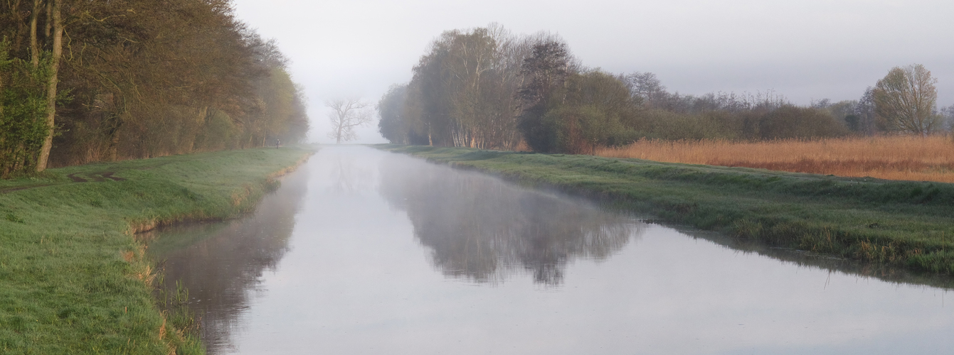 Nebel an der Nebel