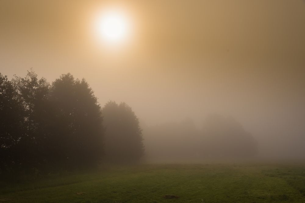 Nebel an der Nieplitz