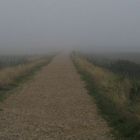 Nebel an der Nordsee