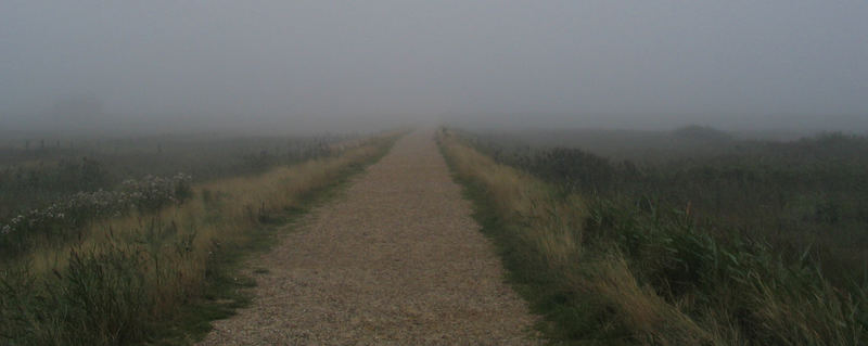 Nebel an der Nordsee